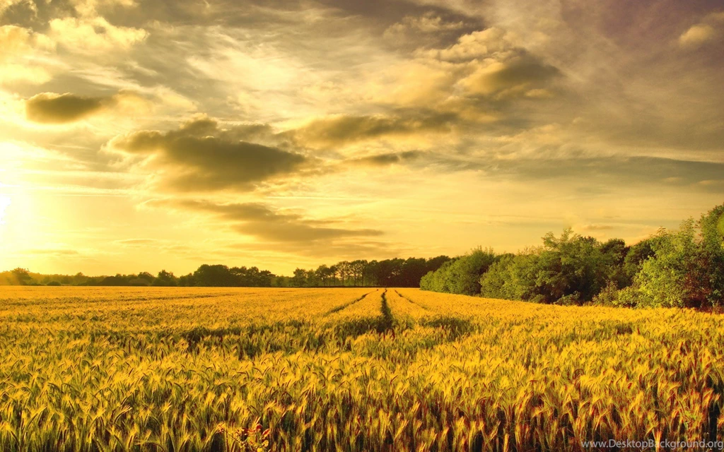 Late Summer Wallpapers 173326