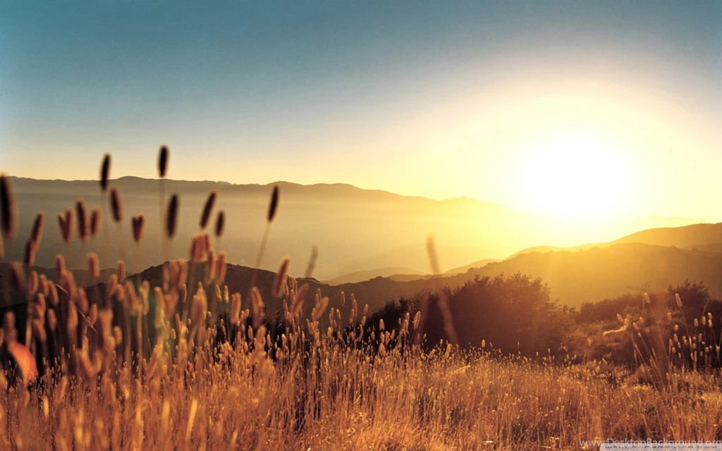 Late Summer Field HD Desktop Wallpapers : High Definition ...