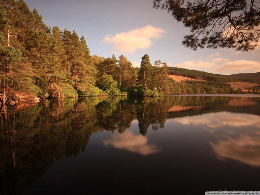 Forest Lake, Late Summer HD Desktop Wallpapers : High Definition ...