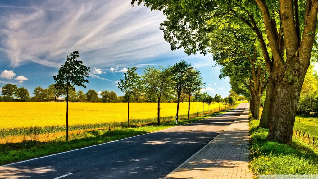 Late Summer Landscape