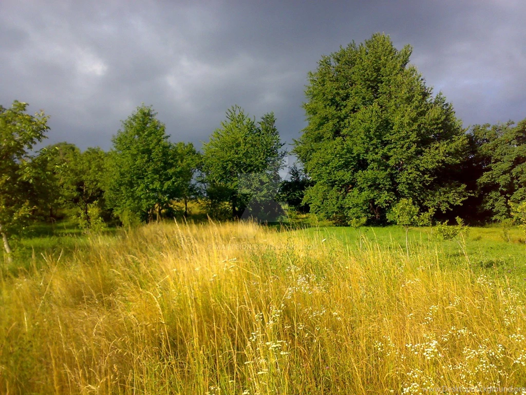 Late Summer By Mafteion On DeviantArt