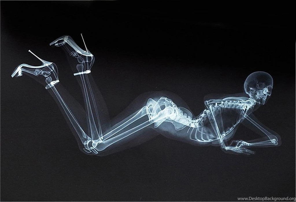 Xray 1748x1192 wallpaper 949622.jpg
