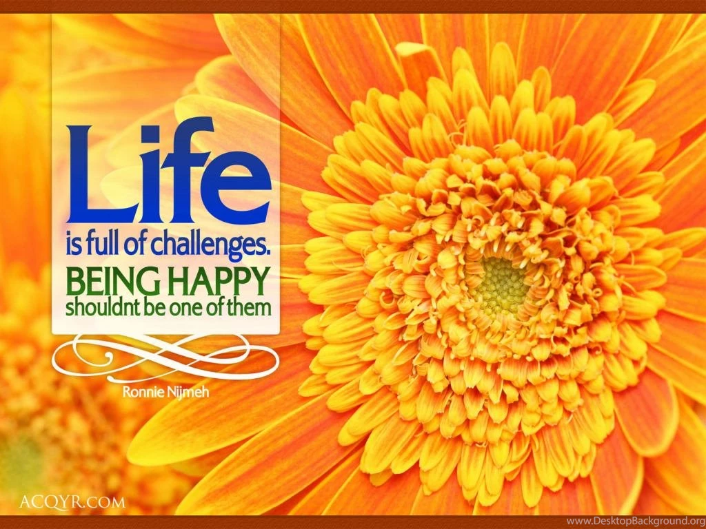 ACQYR Wallpaper 016_Nijmeh 1024x768.jpg