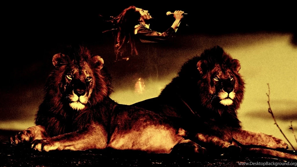 BOB MARLEY & THE WAILERS Reggae D Wallpapers