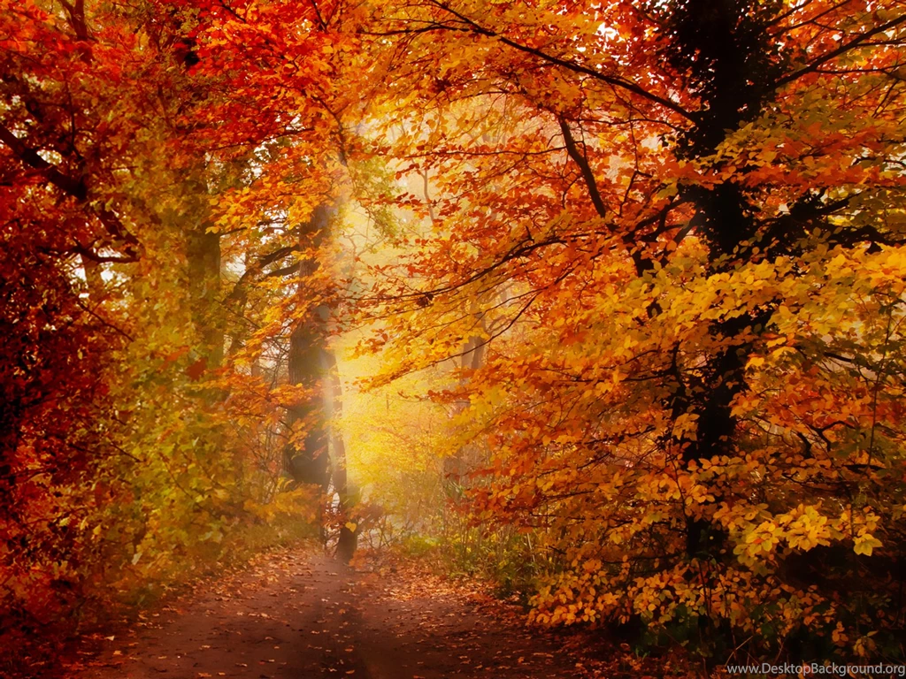 Autumn Desktop Wallpapers 2014
