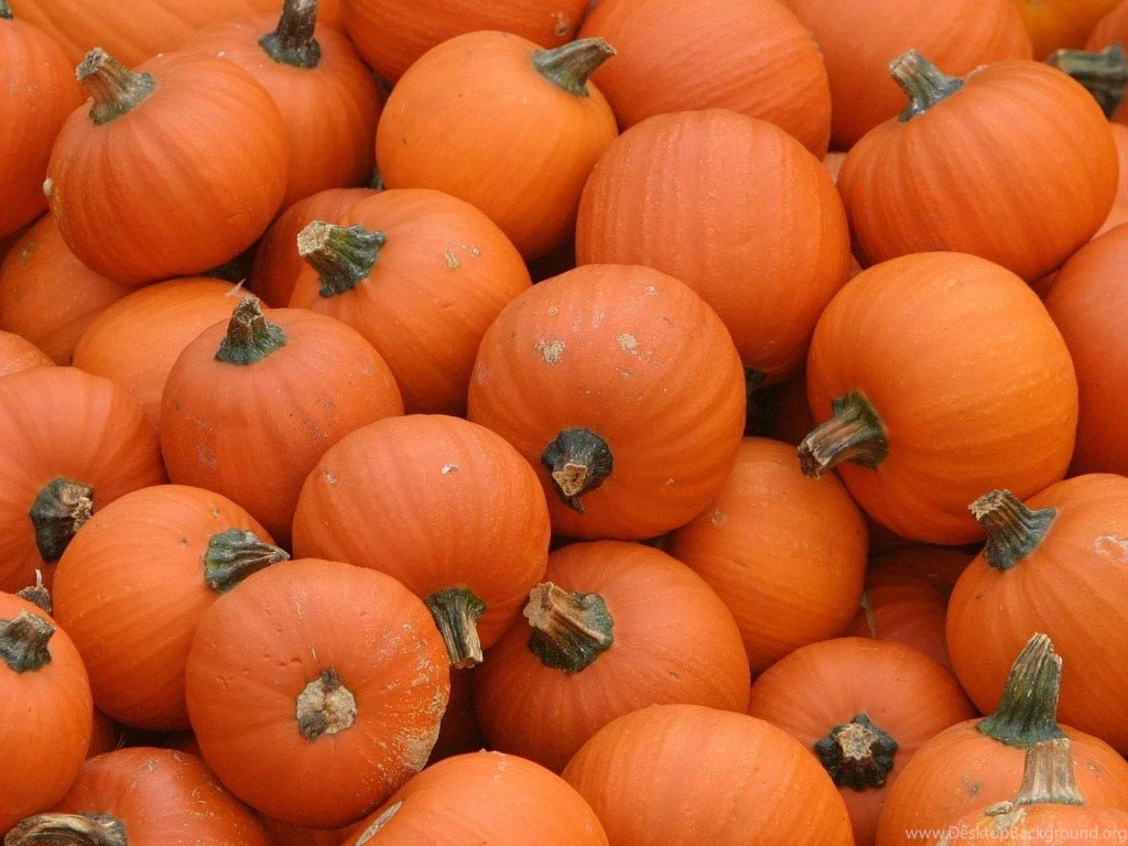 Fall Pictures With Pumpkins HD Wallpapers Lovely
