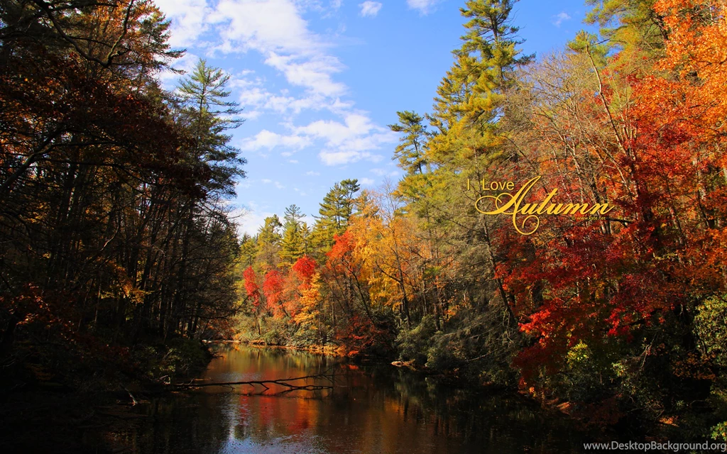 Fall Wallpapers, Fall Facebook Covers, Fall Printables By Kate.net