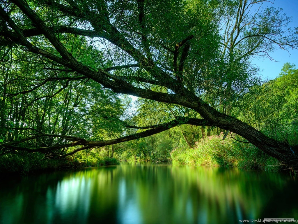 Free Hd Nature Wallpapers All Wallpapers New