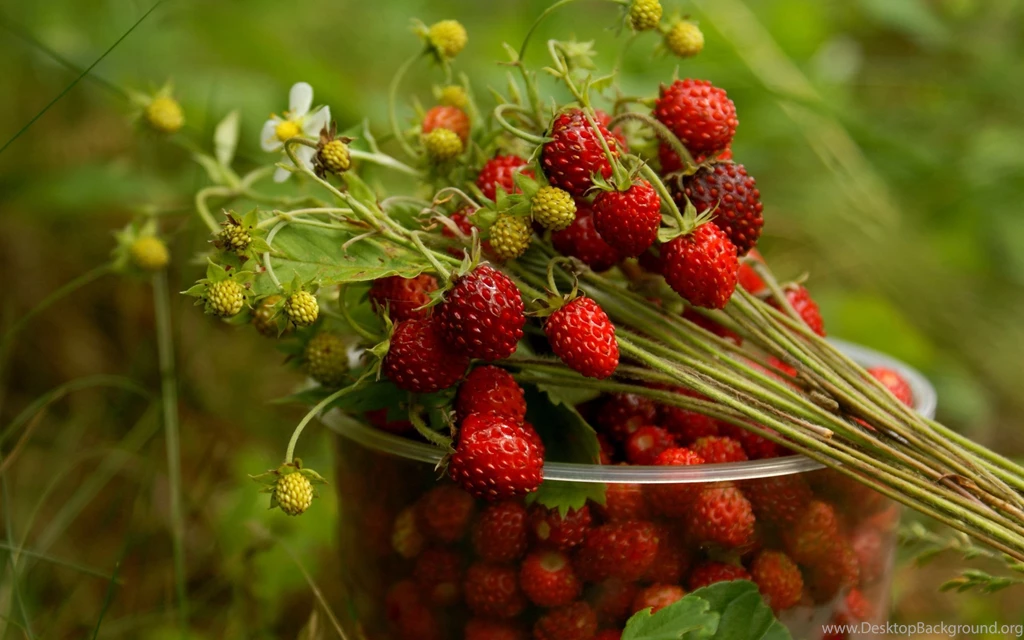 Strawberry Wallpapers   Wallpapers Cave