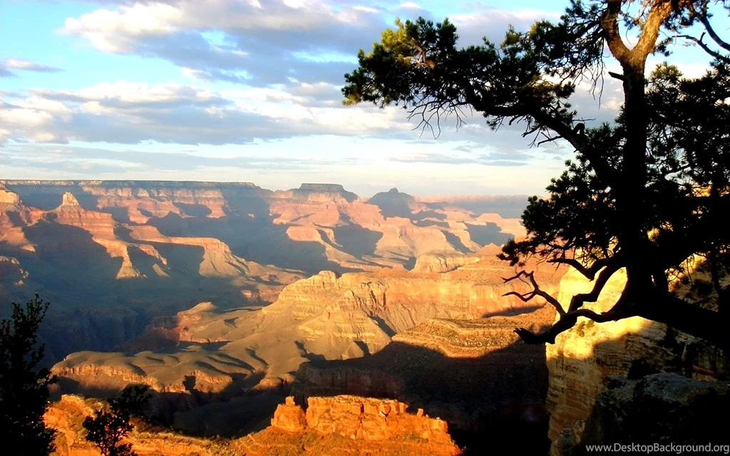 Digital Photo Editing Free: June 2010