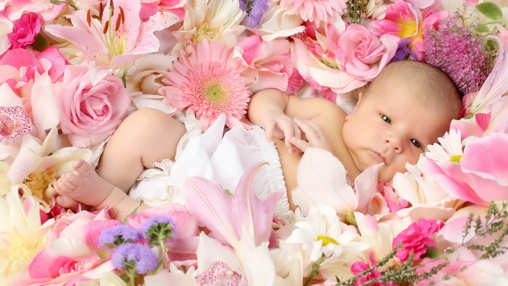 Cute Baby In Flower Hd Wallpapers   Wallpaperss HD