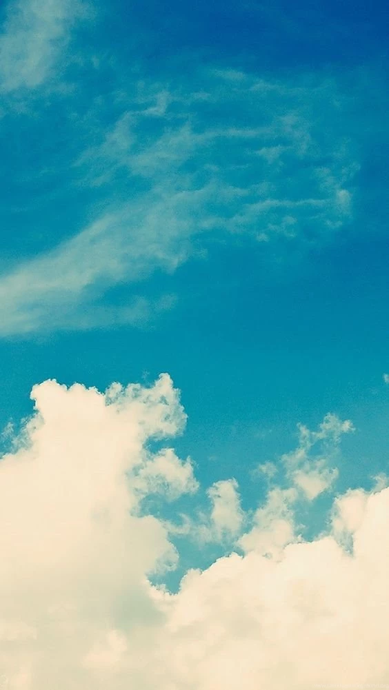 Wallpapers On Pinterest