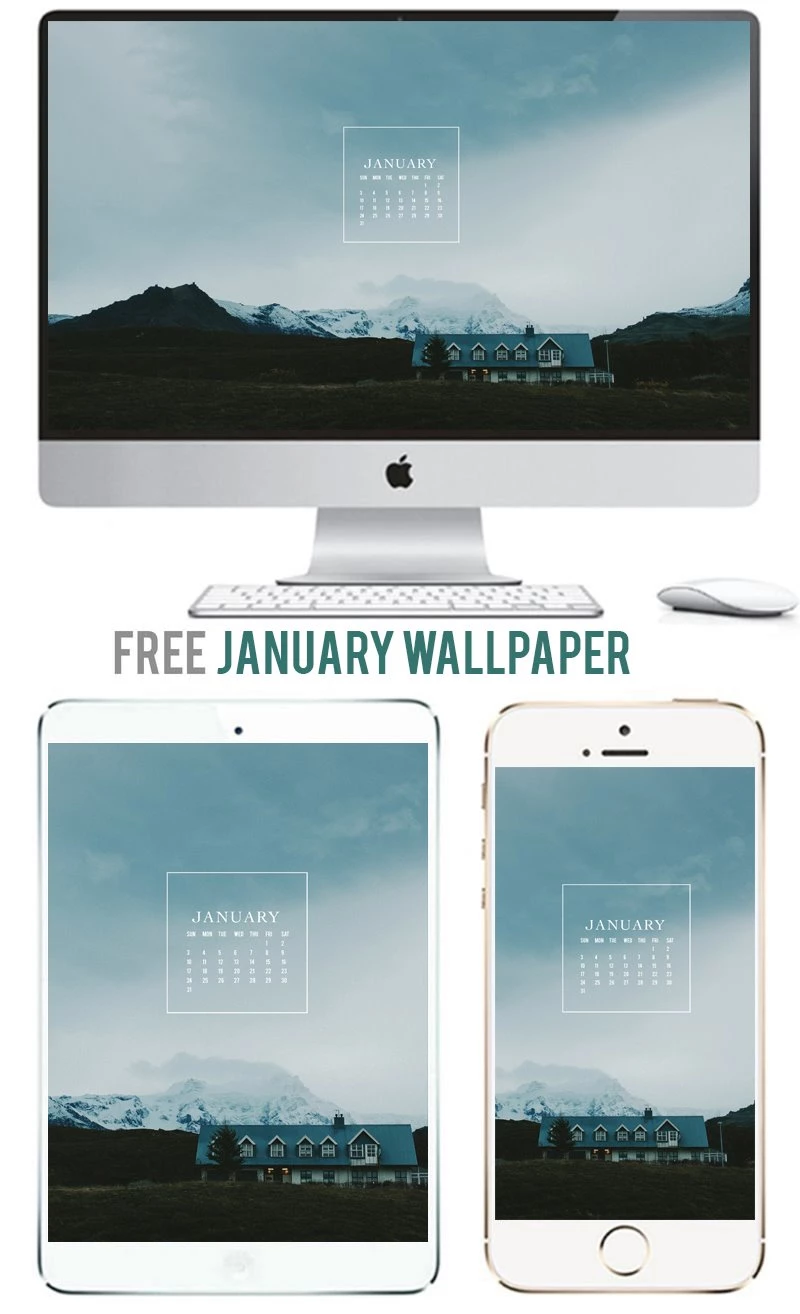 Free January 2016 Calendar Wallpapers Blythe Ponytail Parades
