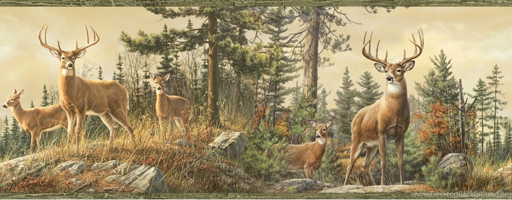 Whitetail Crest Deer Wallpapers Border