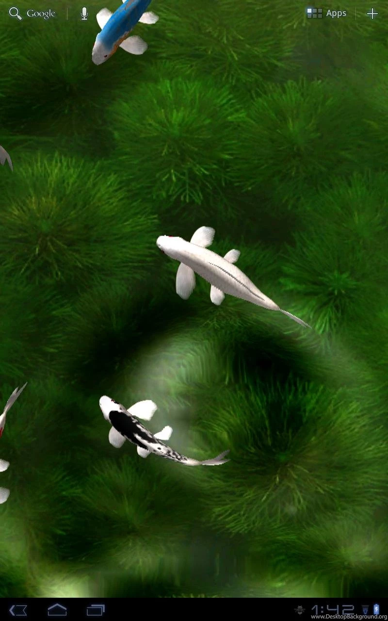 koi free live wallpapers apk download free personalization app