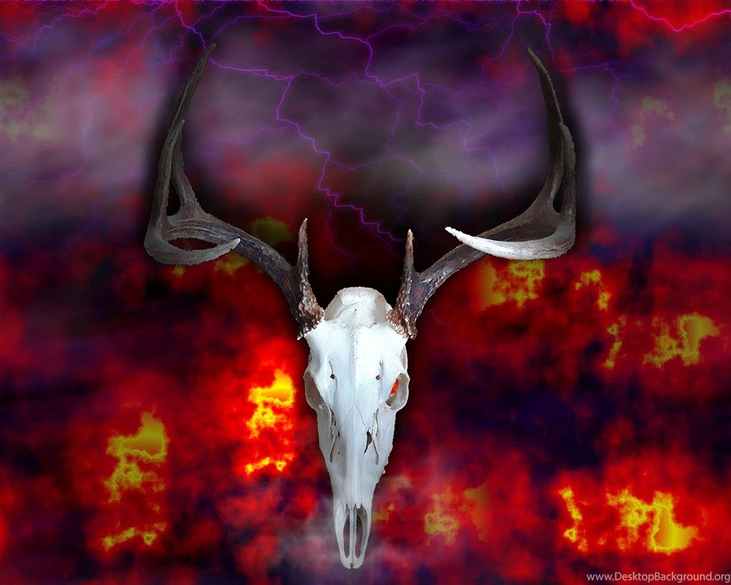 Deer: Spirit Deer Skull Fantasy Animals Whitetail Wallpapers ...