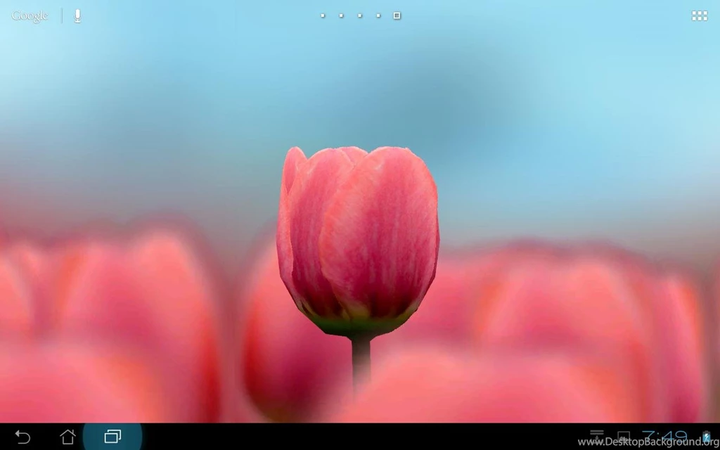 FREE LIVE WALLPAPERS 7B9