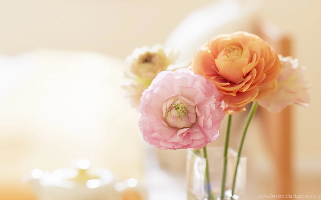 Beautiful Floral Wallpapers For Desktop: Best 40