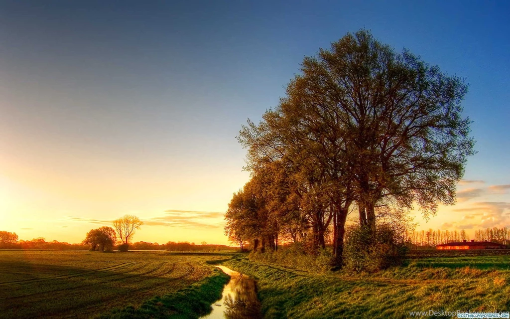 Justpict.com Backgrounds Screen Image