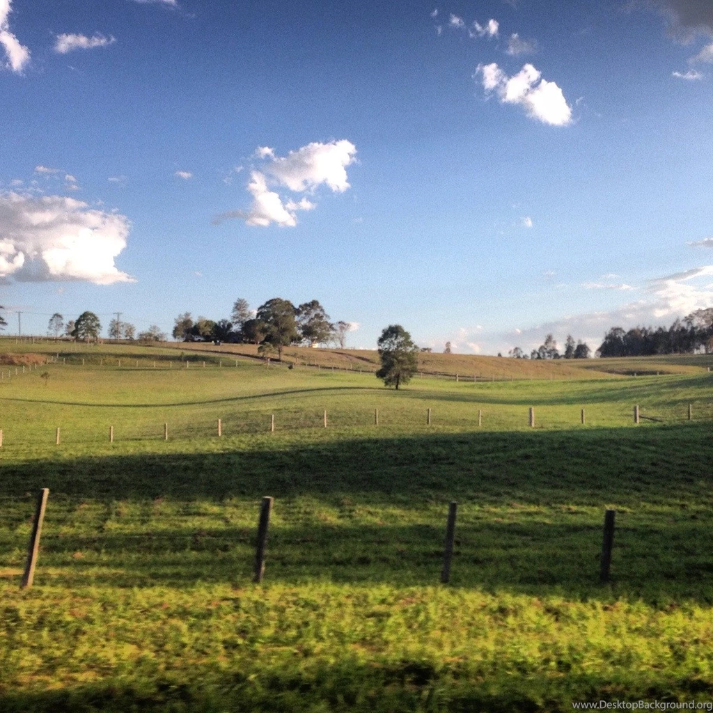 My Parents Place In Australia Looks Like The Default Windows XP ...