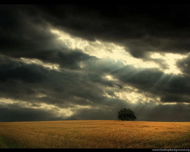 My Favorite "lone Tree And Sky" Wallpaper Images Freewaregenius.com