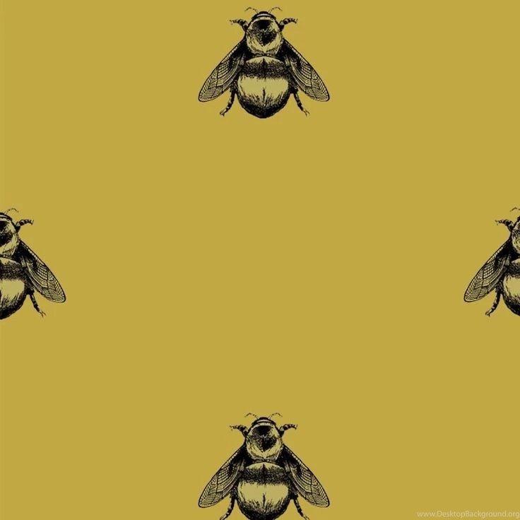 Iconic Timorous Beasties Napoleon Bee Wallpapers With Large Format ...