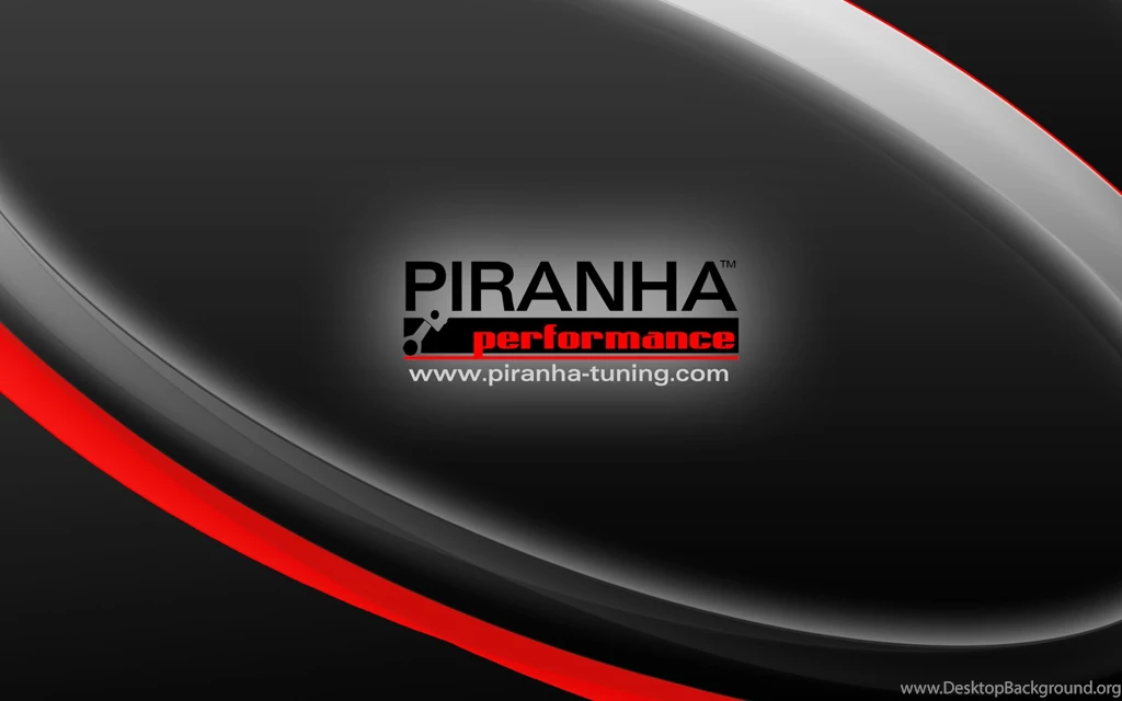 PIRANHA Performance