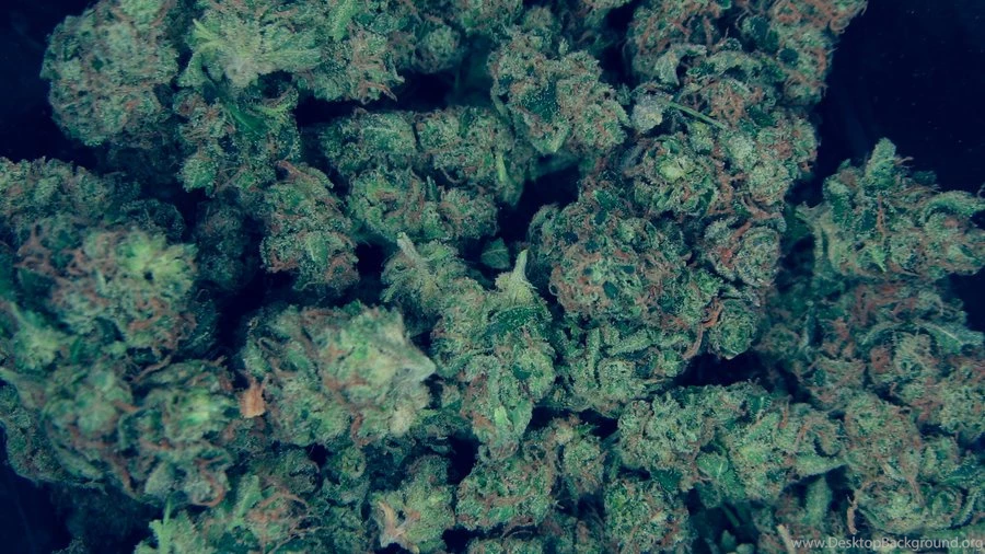 Kush Wallpapers By Davcioo On DeviantArt