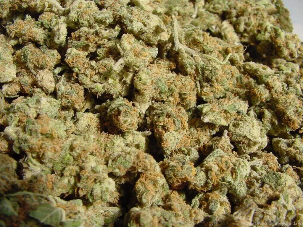 Buy Obama Kush From Greengreenergrow In MI