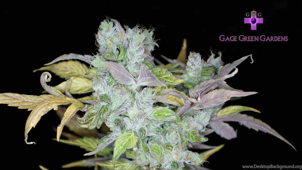 Gage Green Wallpapers