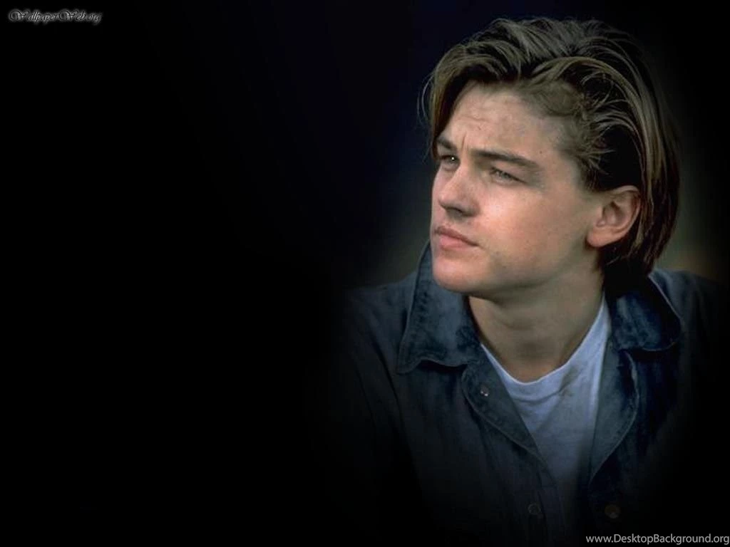 Male Celebrities: Leonardo DiCaprio, Picture Nr. 27904