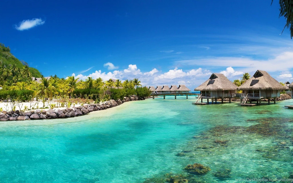 Summer Backgrounds Download Free