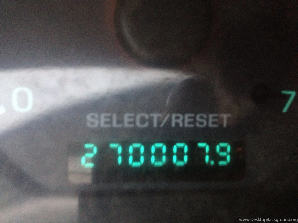 Built Ford Tough (Pics)   Ford Mustang Forum