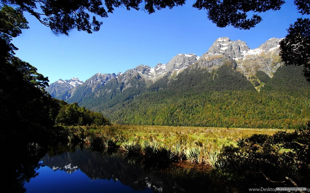 Free Wallpapers   Free Nature Wallpapers   Windows 8 Themes ...