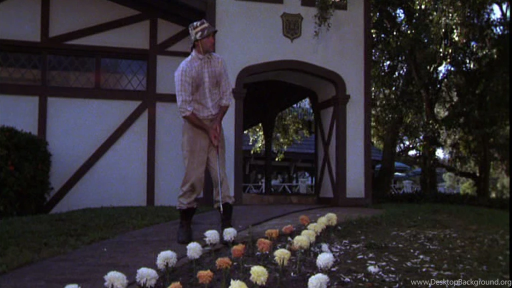 Caddyshack   Informations Blu Ray DVD