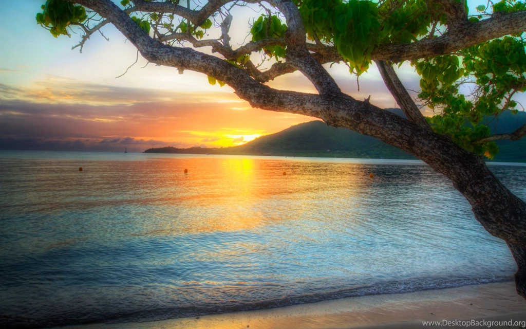 Dream Summer 2012 Lovely View Wallpapers HD Wallpapers 96313