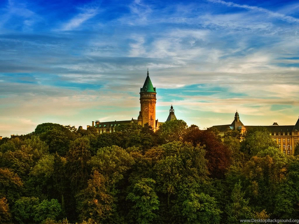 Forest View Wallpaper.jpg