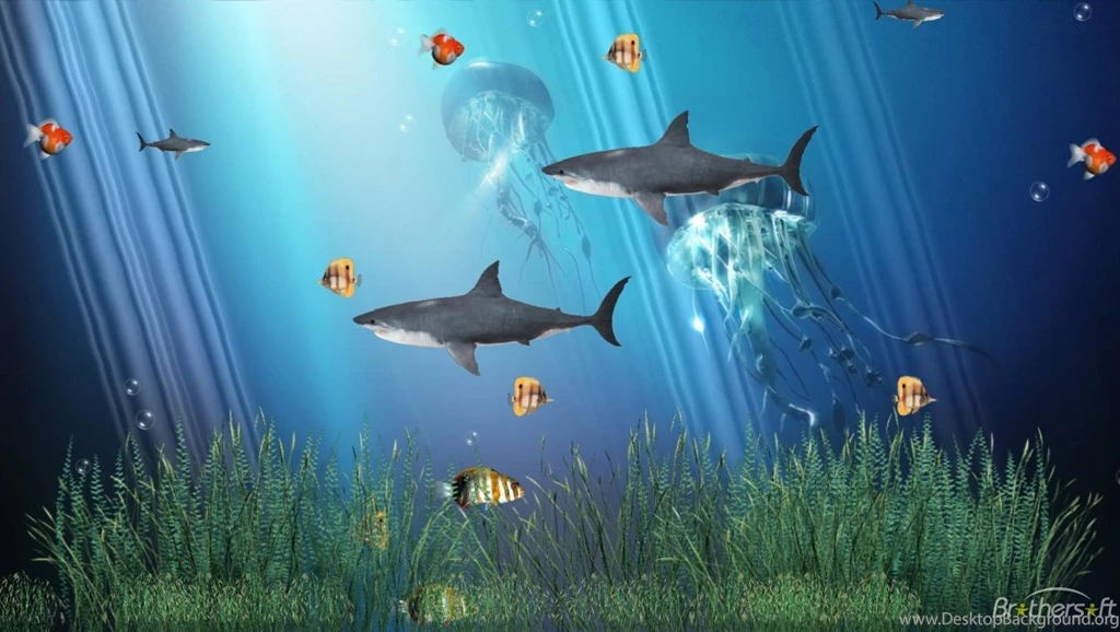 Animated Screensavers And Wallpapers Free Wallpapers Online
