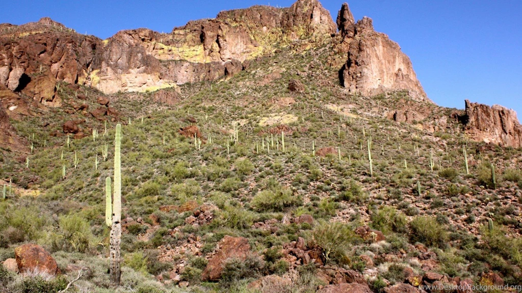 Sonoran Desert Keith ThingLink