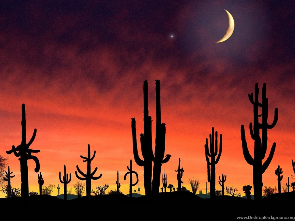 This Is The Brain On Books   The Saguaro