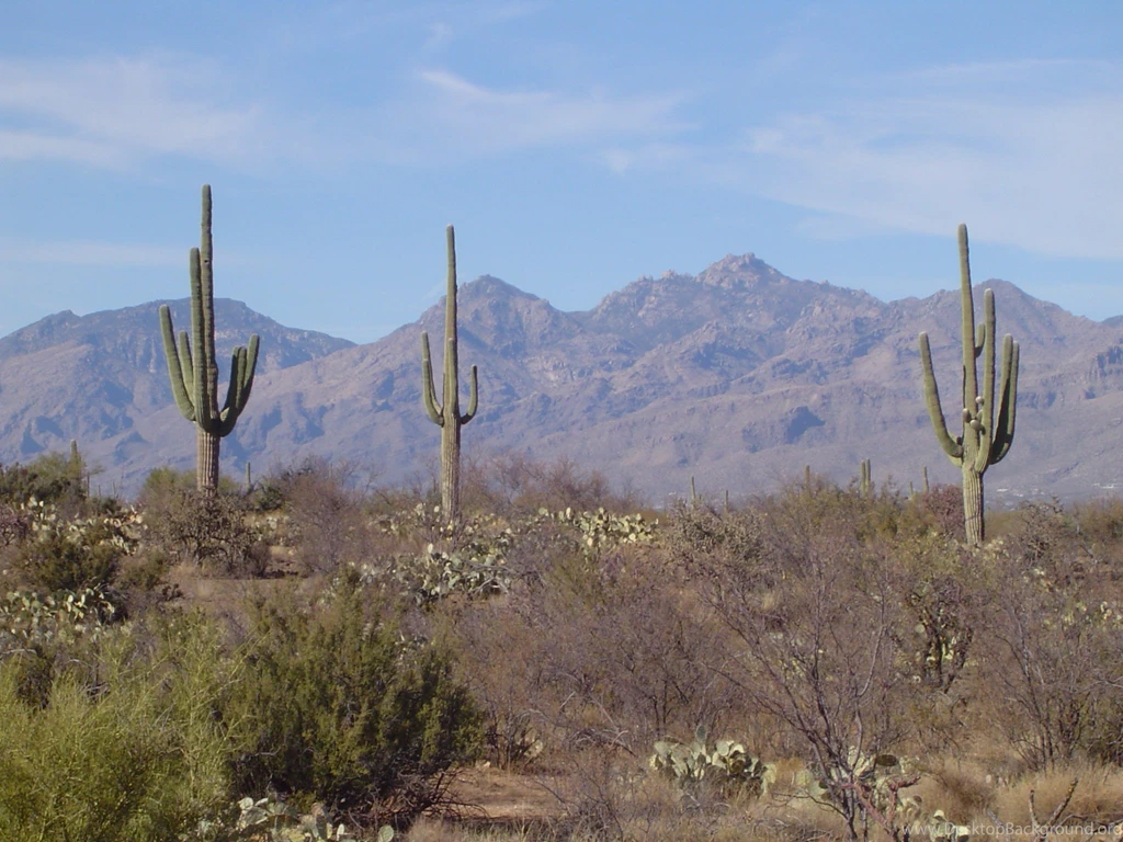Travels In The Riel World » Blog Archive » Poetry Of Travel: Life ...