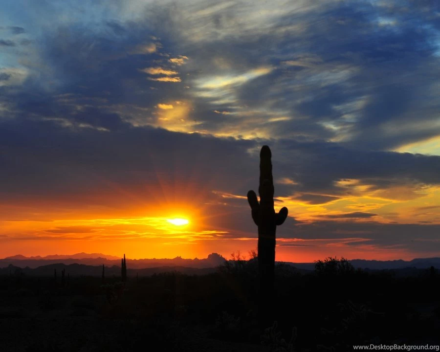Sonora Desert Sunset By Flatsix911 On DeviantArt