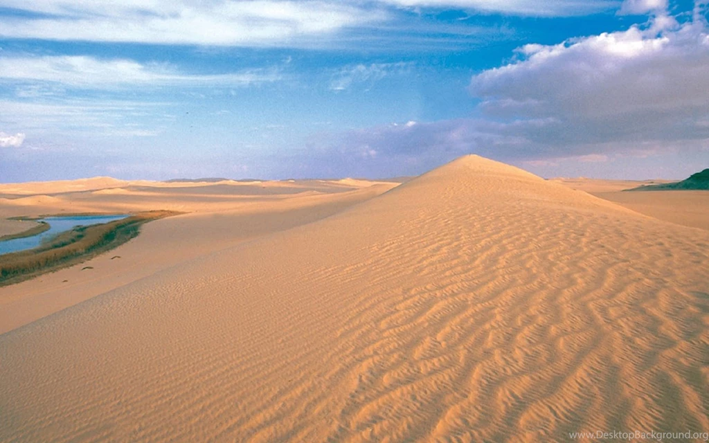 Sonoran Desert Arizona HD Wallpapers Widescreen 1280x800