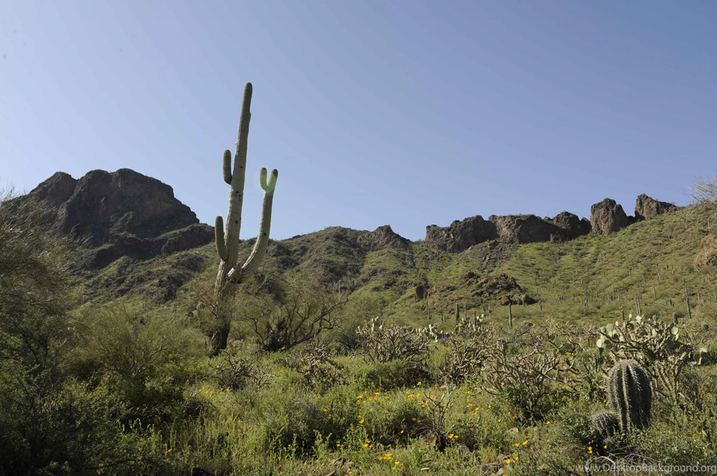 Take A Hike In The Desert Today Magazine