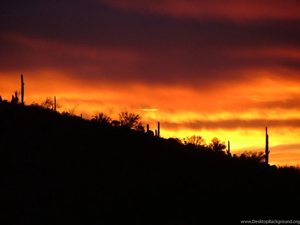 Panoramio   Photo Of Sonoran Desert Sunset