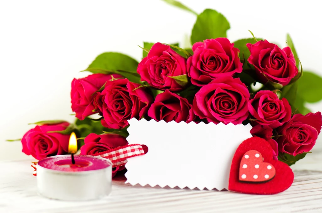 Love Flower Pink Roses Greetings Card HD Wallpapers