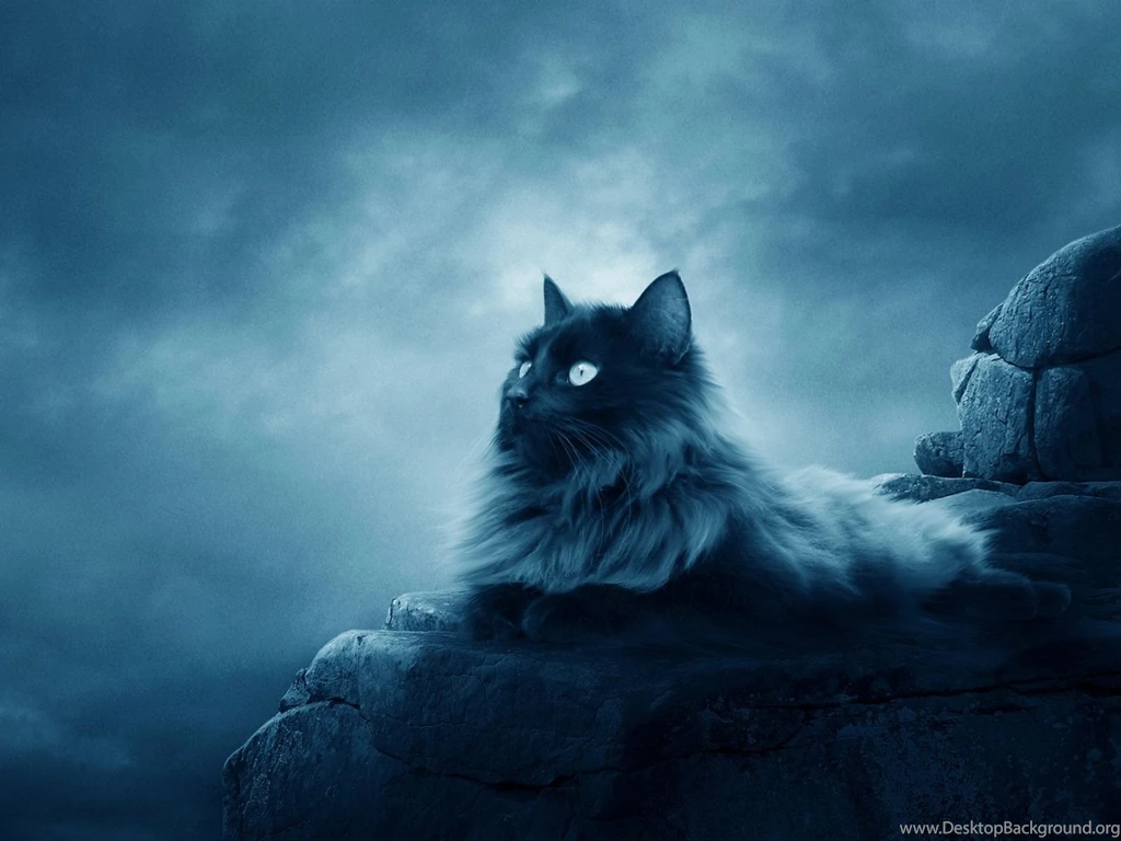 Warrior Cats Backgrounds   Wallpapers Cave