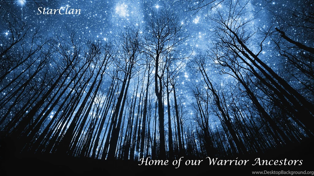 Warrior Cats Wallpapers Starclan