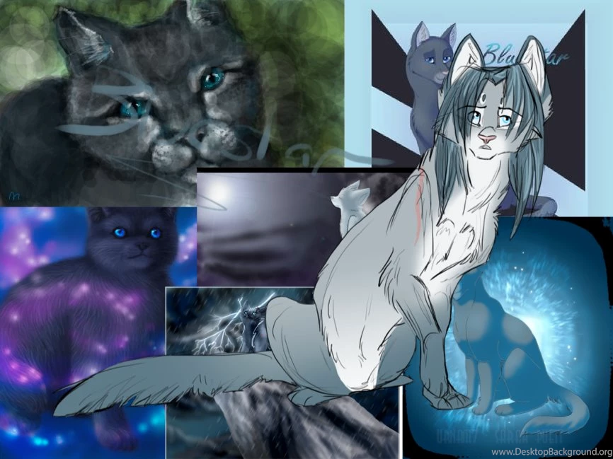 Browsing Wallpapers On DeviantArt