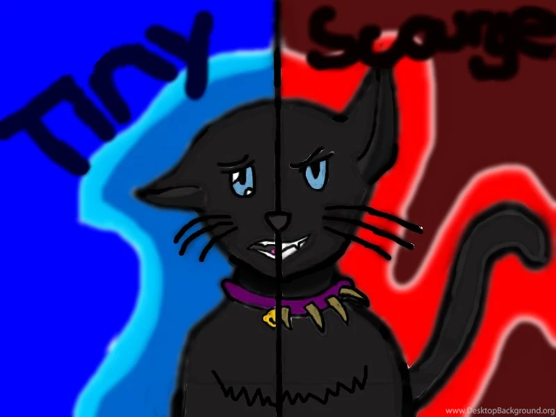 Warrior Cats Wallpapers Scourge